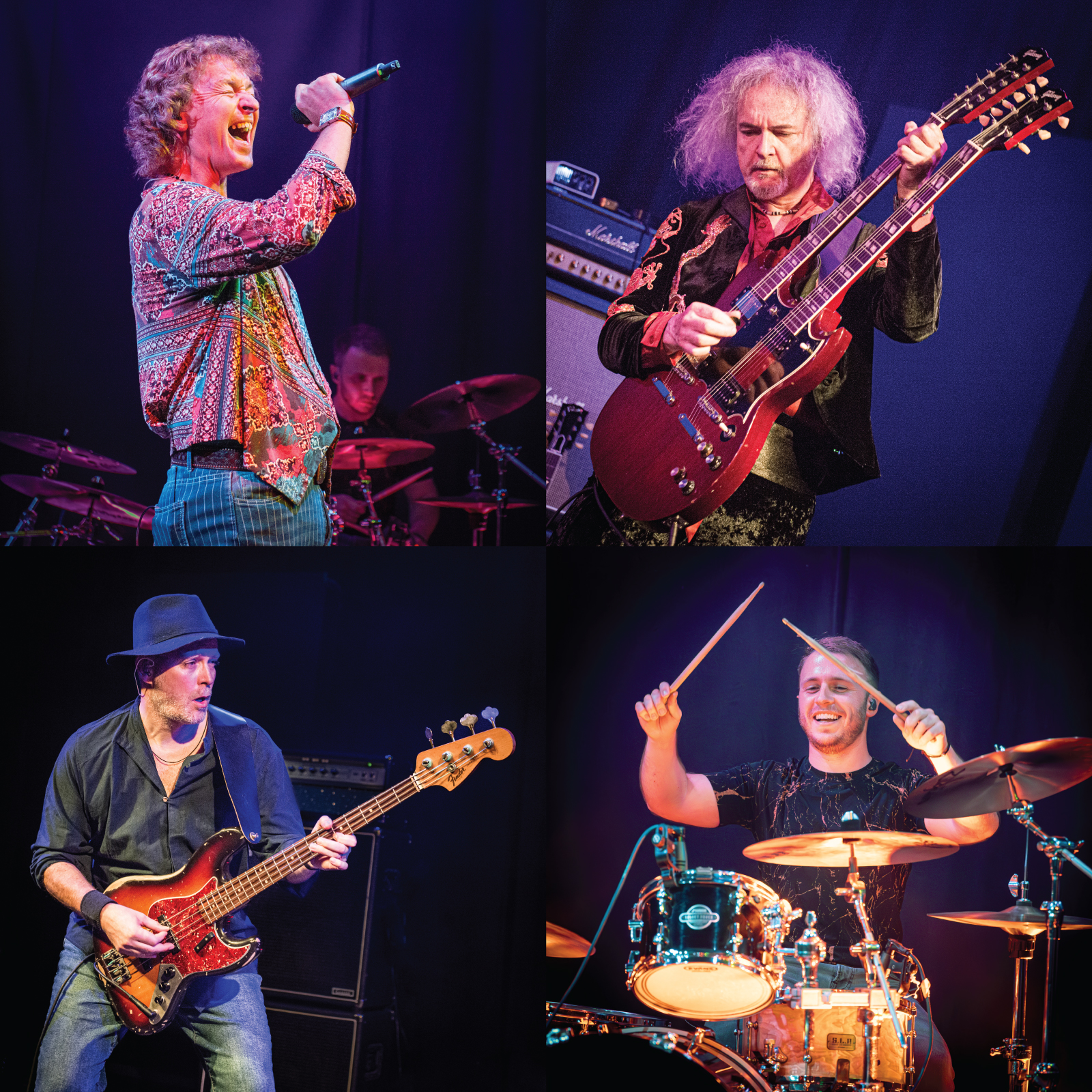 Led Free & Co live band collage