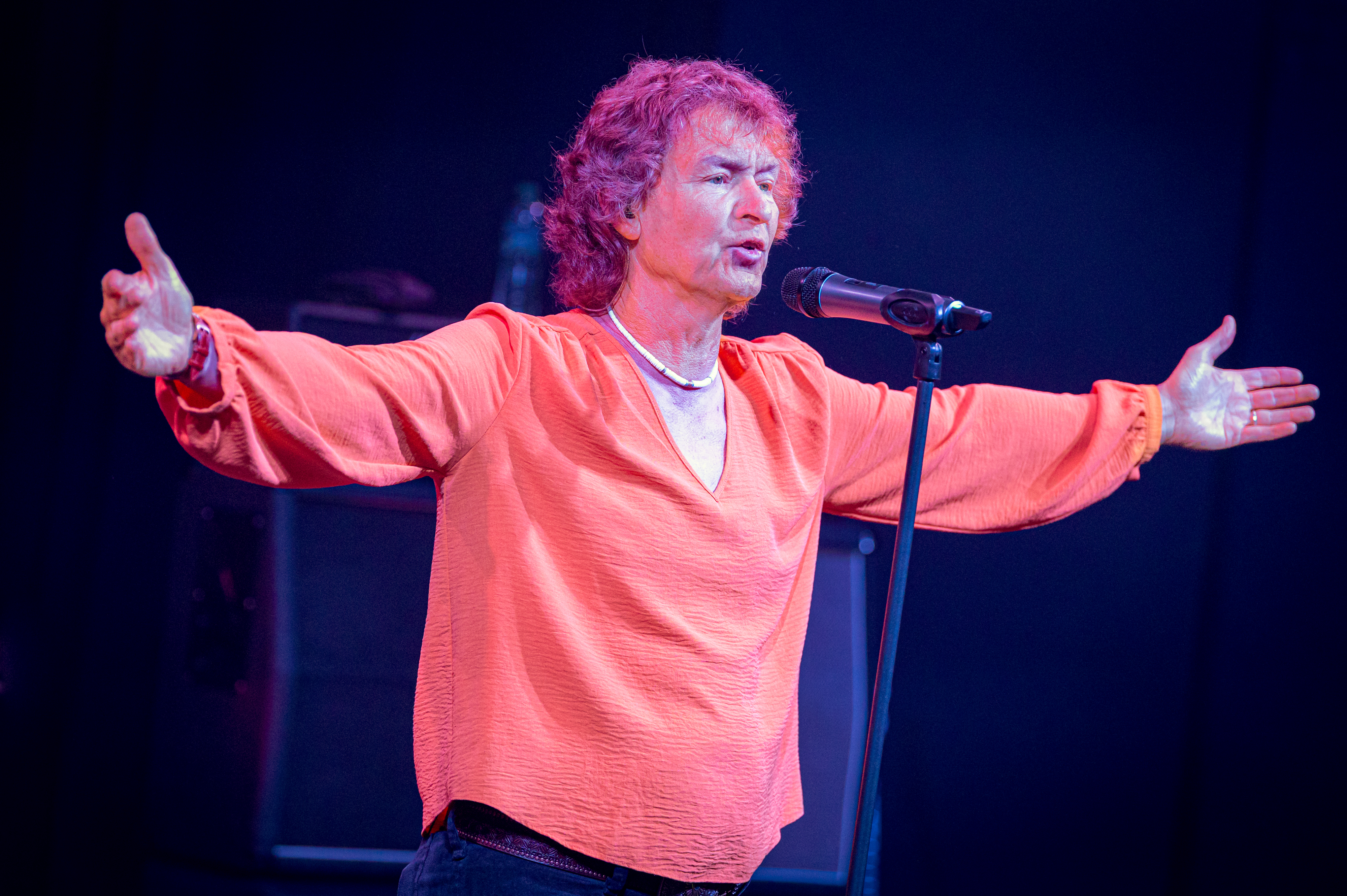 Led Free & Co live photo